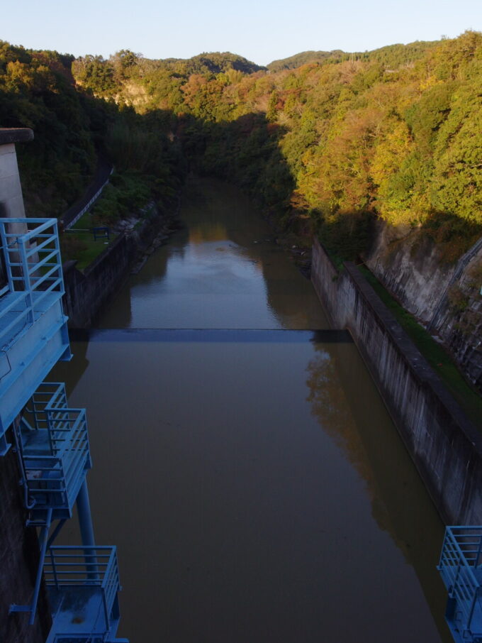 11月上旬奥房総亀山湖34.5ｍの亀山ダムから下流を望む