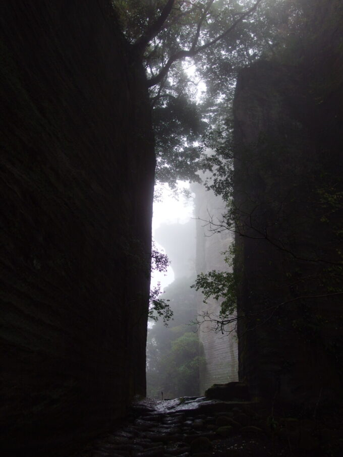 11月上旬雨の鋸山日本寺霧の立ち込める幻想的な石の世界