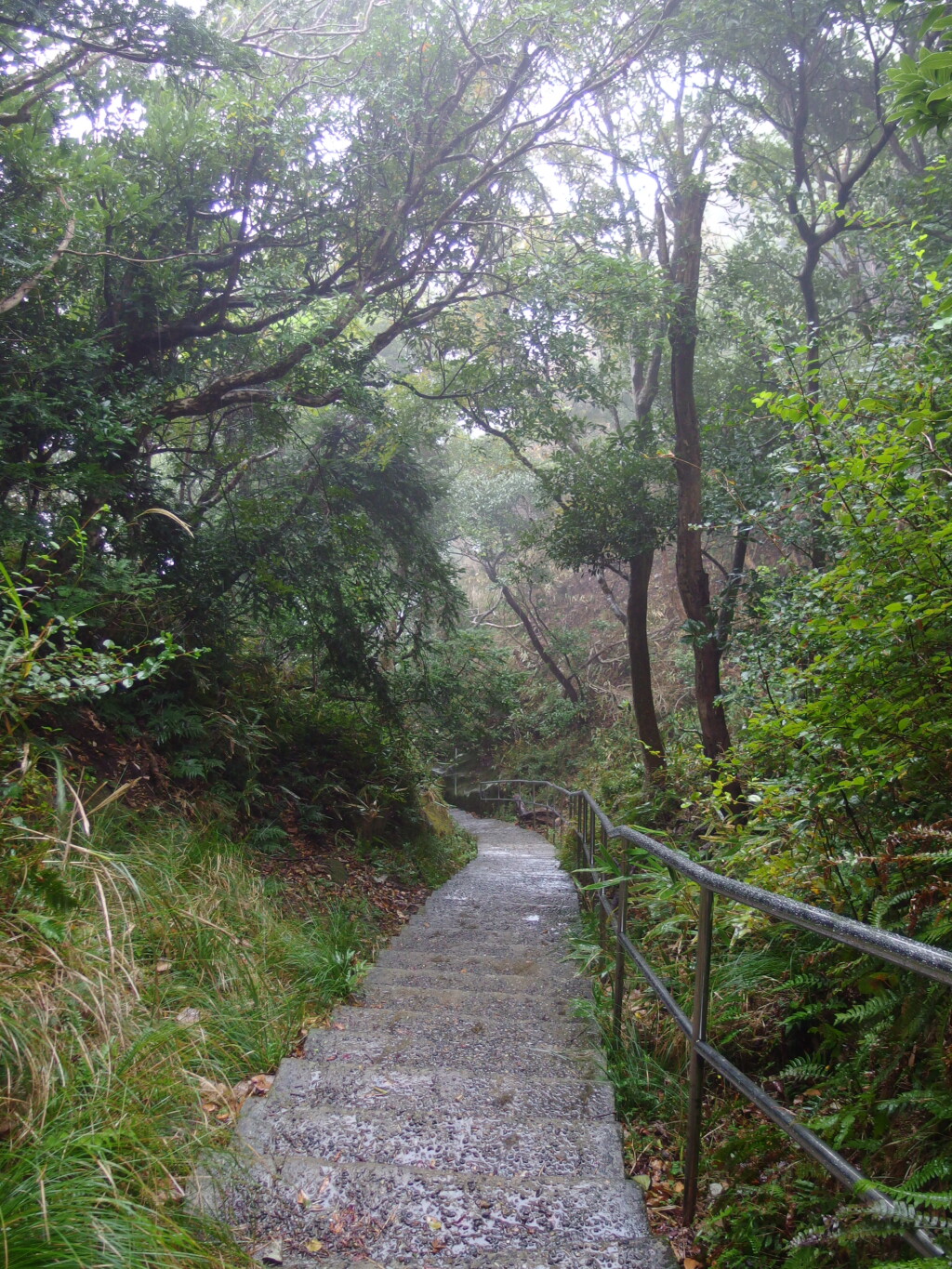 11月上旬雨の鋸山日本寺山頂から地獄のぞきを経て羅漢エリアへと下りはじめる