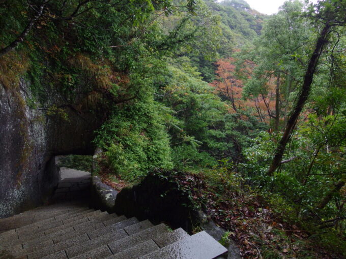 11月上旬雨の鋸山日本寺ロープウェーからの下山ルート奥の院無漏窟から下る道すがら見えた色づきはじめの紅葉