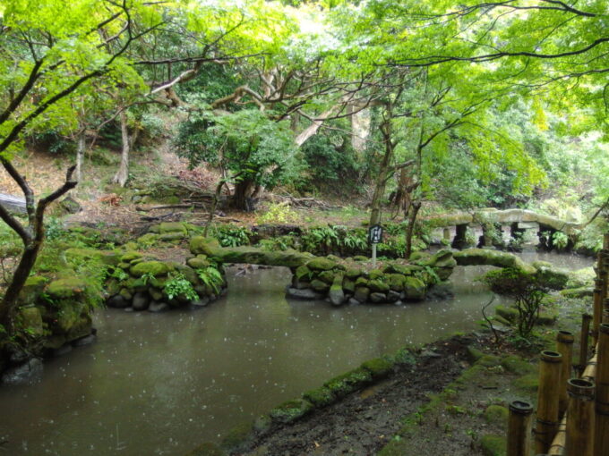 11月上旬雨の鋸山日本寺雨に濡れる心字池