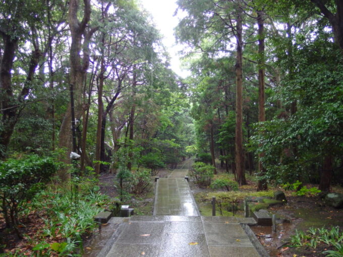 11月上旬雨の鋸山日本寺雨に濡れる表参道の石段