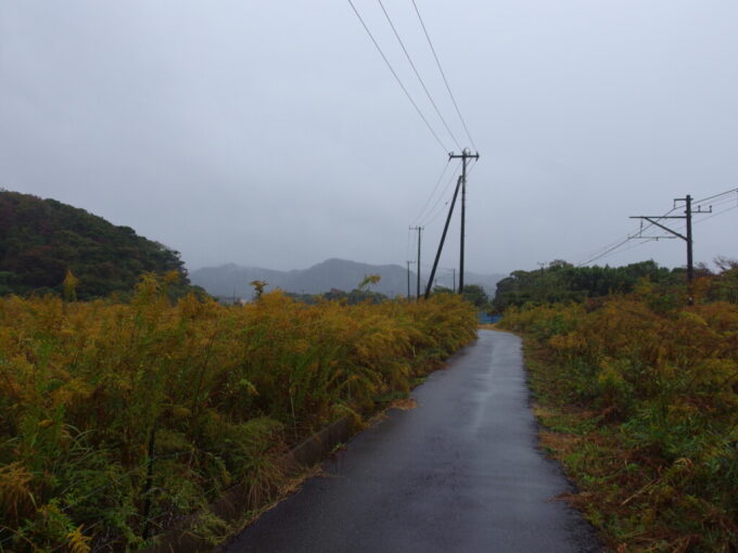 11月上旬雨の鋸山日本寺から保田駅へ秋色の道を歩く
