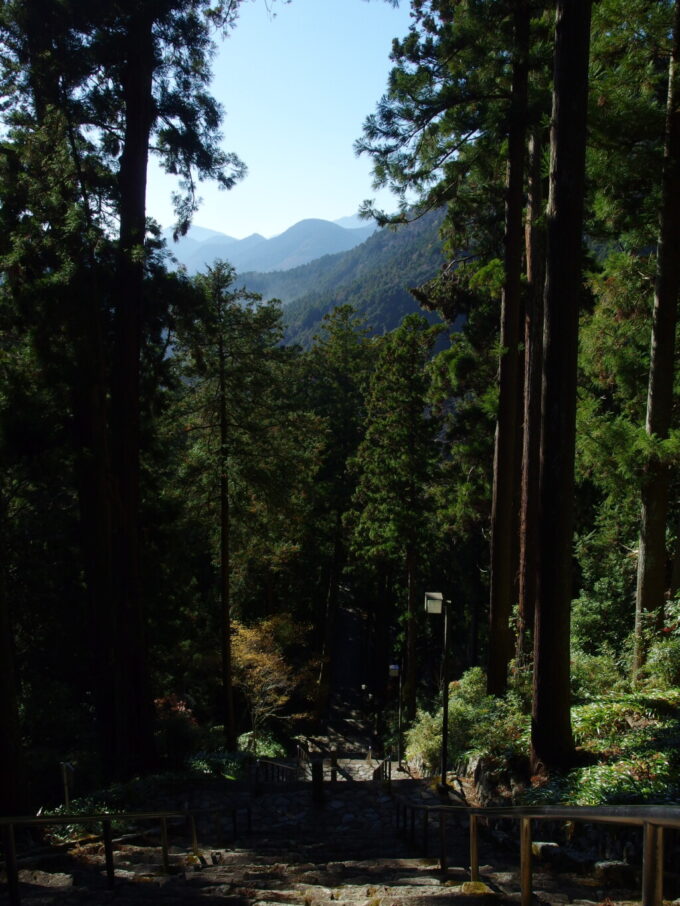 12月中旬初冬の身延山菩提梯の途中から望む杉並木とうつくしい山並み