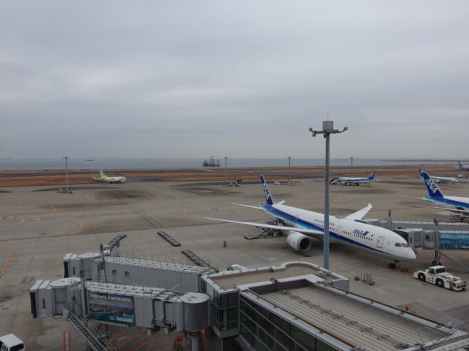 1月中旬冬の羽田空港エプロンを離れ滑走路へと向かうエア・ドゥB737型機