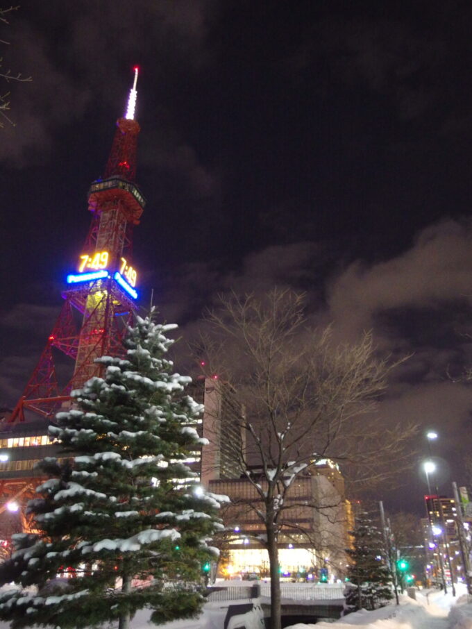1月中旬冬の北海道大雪の後の札幌雪の積もった木とテレビ塔