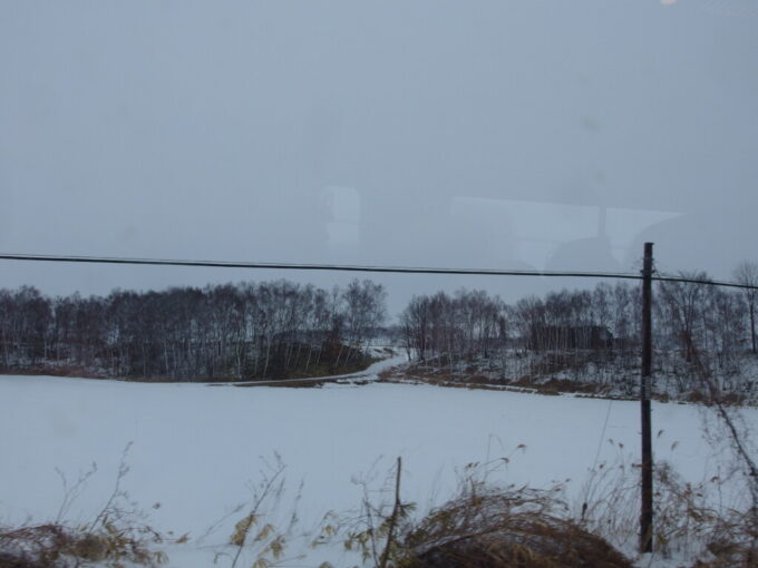 1月中旬冬の北海道大雪の後のキハ261系特別急行とかち号車窓から愛でる白樺林