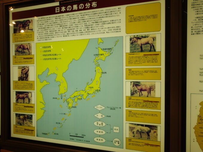 1月中旬冬の初十勝ばんえい十勝帯広競馬場馬の資料館日本の馬の分布図