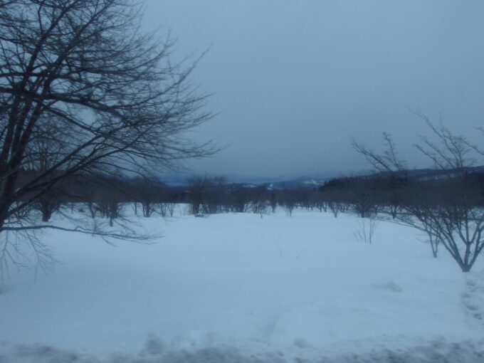 2月中旬羽後交通乳頭温泉行きバス車窓から望む雪原と田沢湖