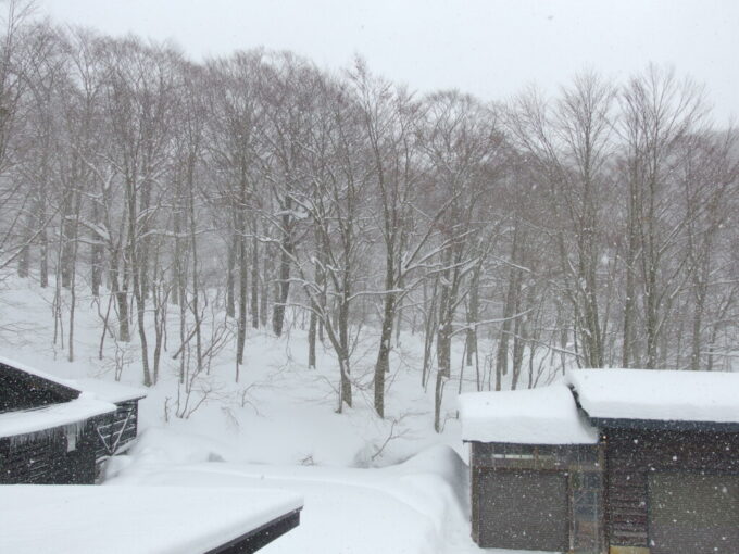 2月中旬秘湯乳頭温泉郷大釜温泉降り続く白い雪