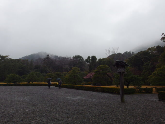 2月中旬冬の伊勢神宮内宮霧のかかる山並みと美しい梅の花と松の木