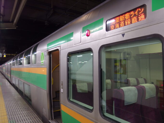 3月中旬春まだ浅い上州群馬夜の高崎駅湘南新宿ライングリーン車で帰京の途に