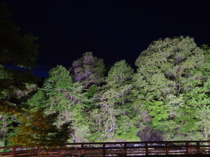 5月上旬曇天の花巻南温泉峡山の神温泉優香苑まだほの明るさを残す宵の口の空とライトアップされた新緑