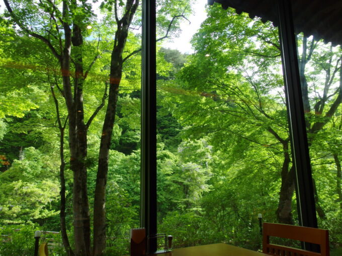 5月上旬花巻南温泉峡山の神温泉優香苑食事会場の大きな窓一杯に溢れる鮮やかな新緑