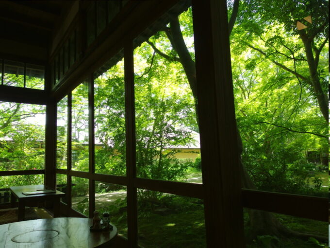 5月上旬晴天の金ケ崎見事な庭園の新緑が溢れんばかりになだれ込む侍屋敷大松沢家の窓辺の席