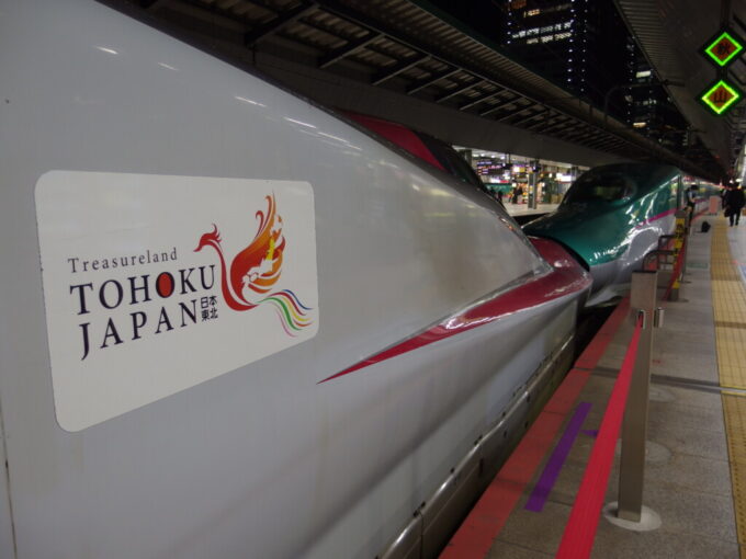 5月上旬夜の東京駅E6系こまち号を翔る鳳凰のエンブレム
