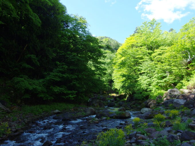 5月上旬関東最後の秘湯の異名を持つ奥鬼怒温泉郷八丁の湯宿の前をさらさらと流れる鬼怒川の源流