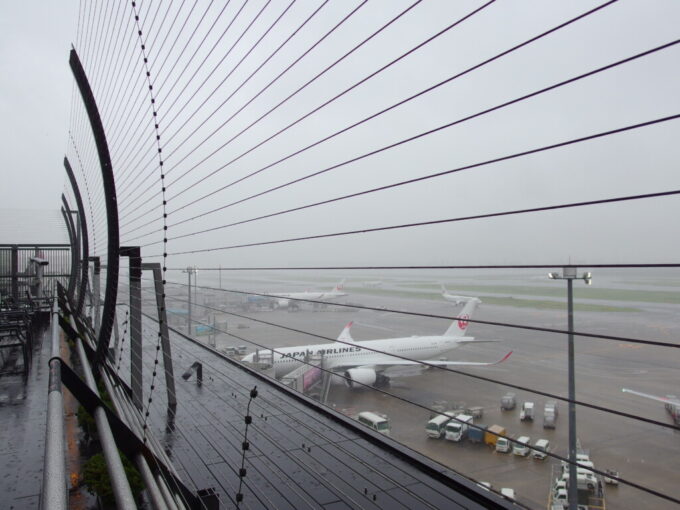 6月下旬雨に煙る羽田空港第1ターミナルビル展望デッキ