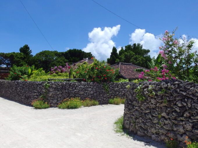 6月下旬夏の竹富島南国感溢れる集落の情景