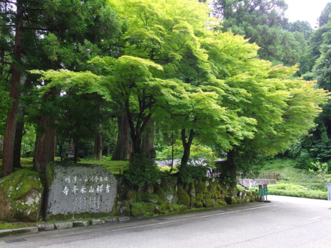 7月中旬の福井永平寺あまりにも瑞々しい参道脇の緑