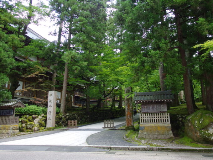 7月中旬の福井永平寺緑に染まる参道