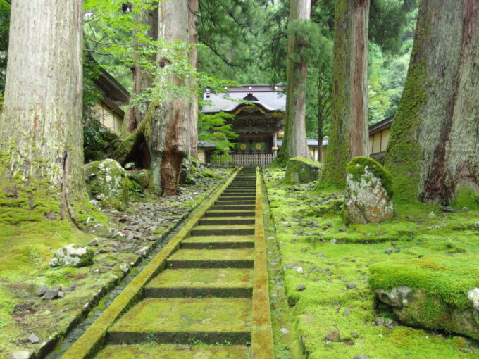 7月中旬の福井永平寺苔むした石段の先に佇む唐門