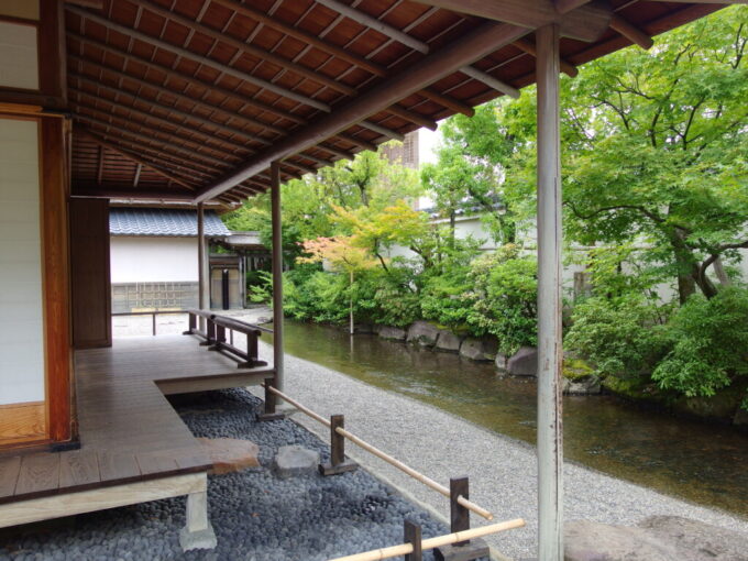 7月中旬の福井養浩館庭園屋敷の背後を流れる涼やかな小川