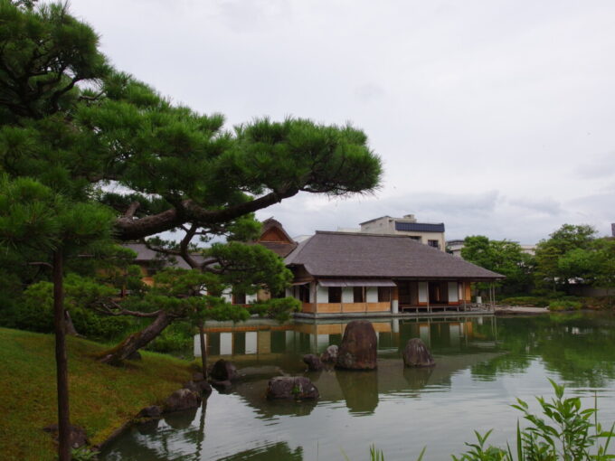 7月中旬の福井養浩館庭園池に表情を与える数寄屋造り