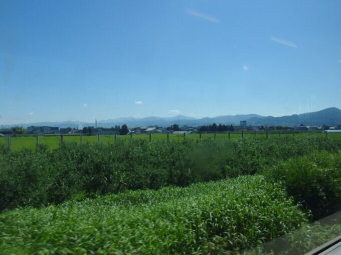 8月上旬夏の弘前奥羽本線701系大館行き普通列車車窓に広がるりんご畑と豊かな田んぼ