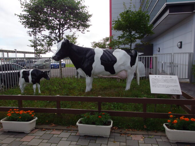 8月下旬初めての釧路空港目を引く乳牛ホルスタインの親子の像