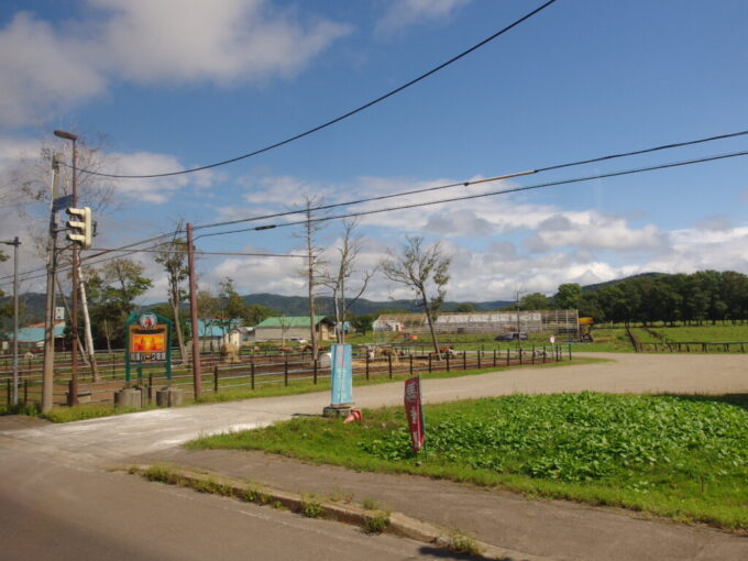 8月下旬初めての阿寒バス定期観光バスピリカ号車窓から眺める川湯パーク牧場の馬たち