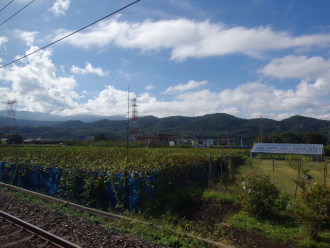 10月上旬秋晴れの塩尻駅を出発しぶどう畑の横をゆくJR東海313系普通列車木曽福島行き