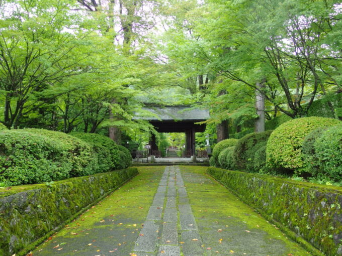 10月上旬旧中山道福島宿興善寺の苔むした参道