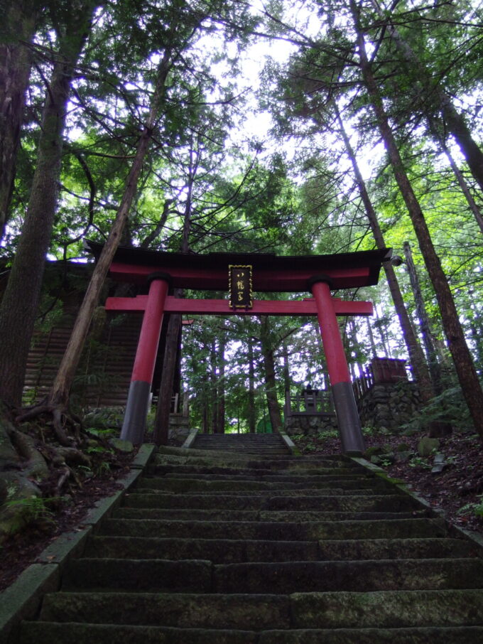 10月上旬旧中山道奈良井宿鬱蒼とした森のなか佇む八幡神社の赤鳥居