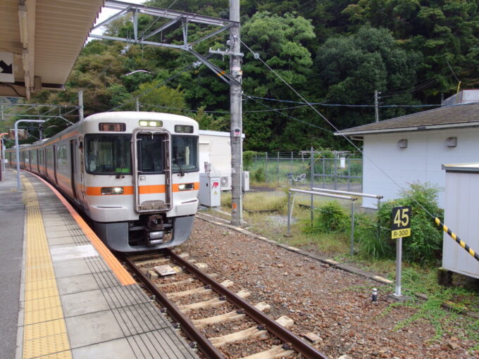 10月下旬身延線下部温泉駅に入線するJR東海313系普通列車富士行き