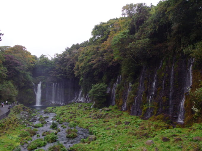 10月下旬初めての富士宮無数の湧水が白い筋となって流れ落ちる白糸の滝