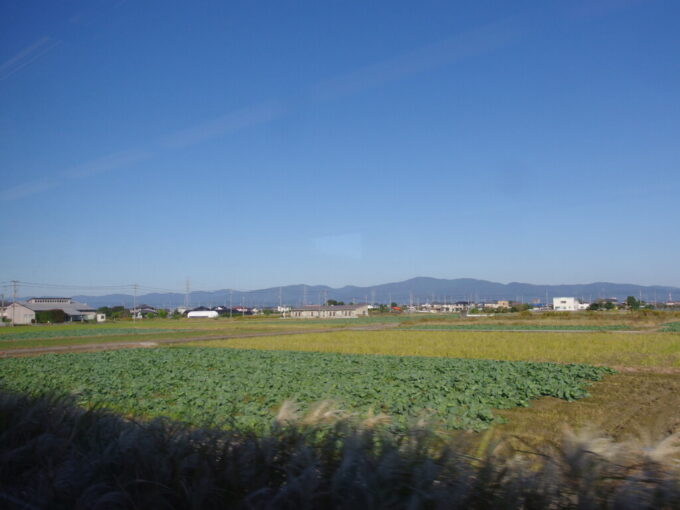 11月上旬初めてのJR四国特急の旅キハ185系剣山車窓から眺める阿波の田園風景