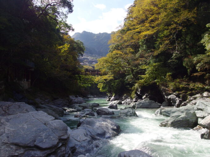 11月上旬初めての徳島祖谷かずら橋祖谷川の川原から眺める吊り橋