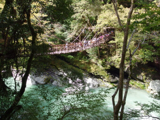 11月上旬初めての徳島祖谷かずら橋平家の落人伝説に残るかずらで編まれた吊り橋