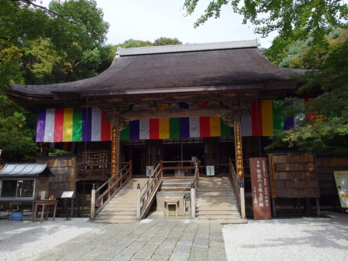 11月上旬初めての高知五台山公園四国霊場第三十一番札所竹林寺