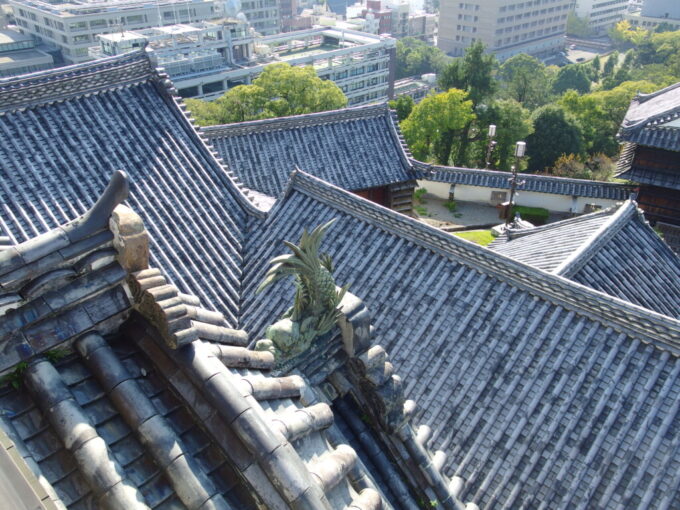 11月上旬初めての高知現存十二天守であり本丸の建物が完全に残る日本で唯一の城郭高知城天守の最上階を巡る廻縁から見下ろす天守と本丸御殿の複雑に入り組む屋根