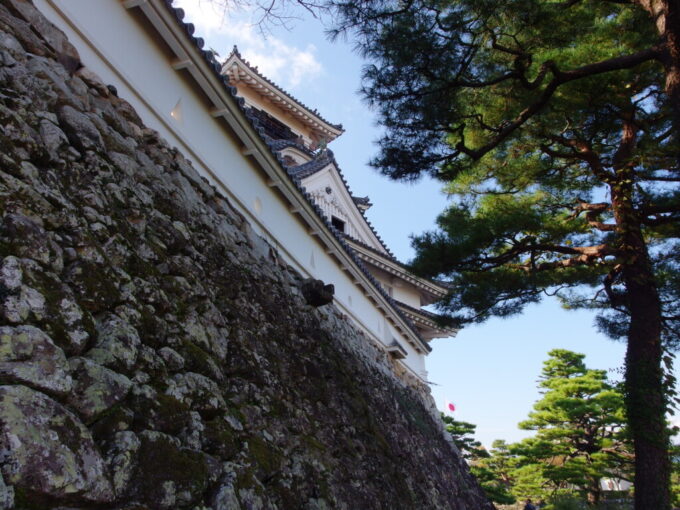 11月上旬初めての高知現存十二天守であり本丸の建物が完全に残る日本で唯一の城郭高知城荒々しい石垣と白亜の城郭の対比