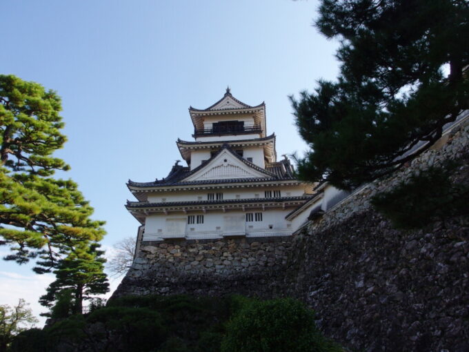 11月上旬初めての高知現存十二天守であり本丸の建物が完全に残る日本で唯一の城郭高知城荒々しい石垣の上に聳えるうつくしい白い天守に別れを告げる