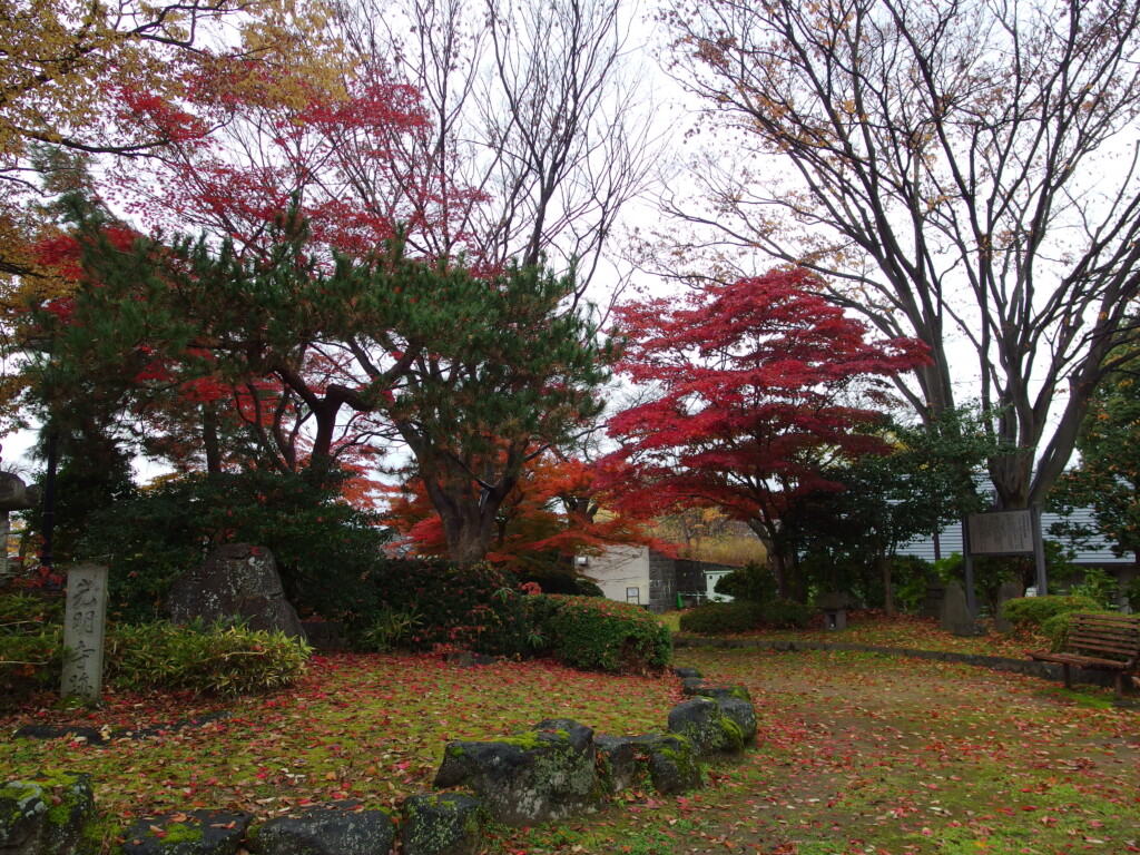 11月下旬晩秋の山形最上義光歴史館前の紅葉