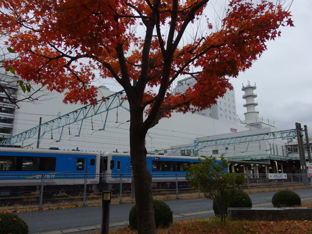 11月下旬晩秋の山形駅西口色付く紅葉とフルーツライン左沢線用のキハ101形