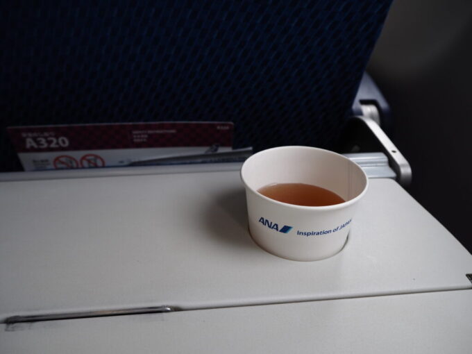 5月中旬A320型機ANA高松空港行き機内で味わうビーフコンソメスープ
