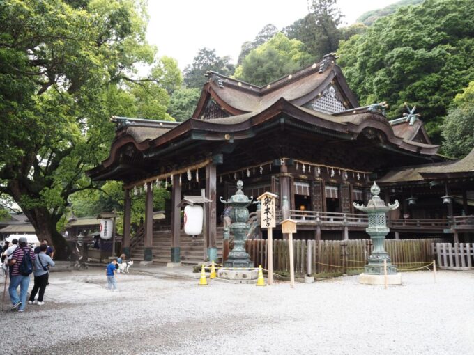 5月中旬の瀬戸内こんぴらさん7年ぶりのご対面となる金刀比羅宮御本宮