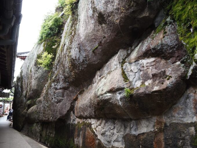 5月中旬の瀬戸内17年ぶりの尾道千光寺山頂から文学のこみちを経て千光寺へ