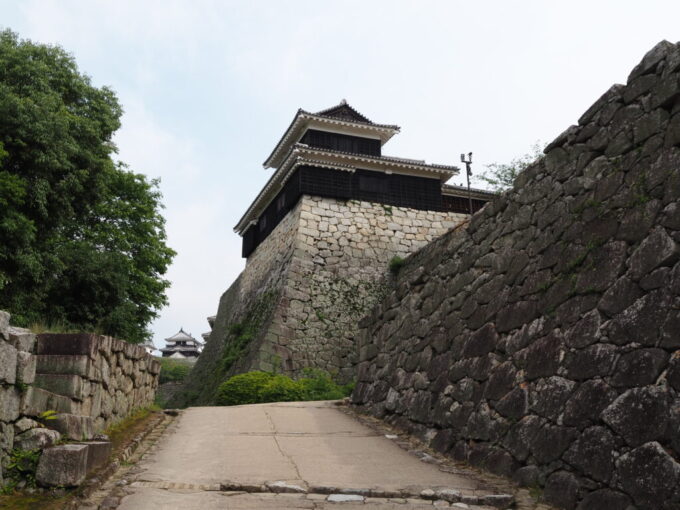 5月中旬の瀬戸内17年ぶりとなる松山城聳える重厚な石垣沿いに進みいよいよ本丸へ