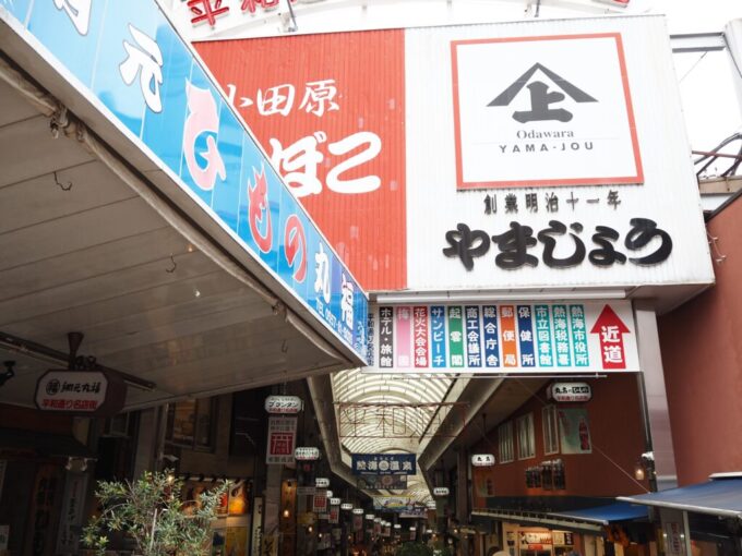 5月末初夏の熱海チェックアウト後の人で賑わう平和通りのアーケード